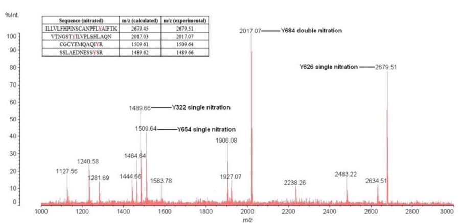 Identification of tyrosine nitrated sites in FSHR protein.jpg